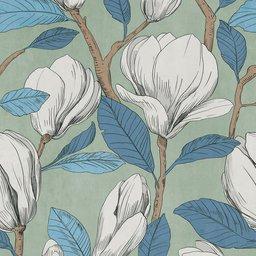 Magnolia